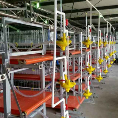 清糞帶使用現(xiàn)場